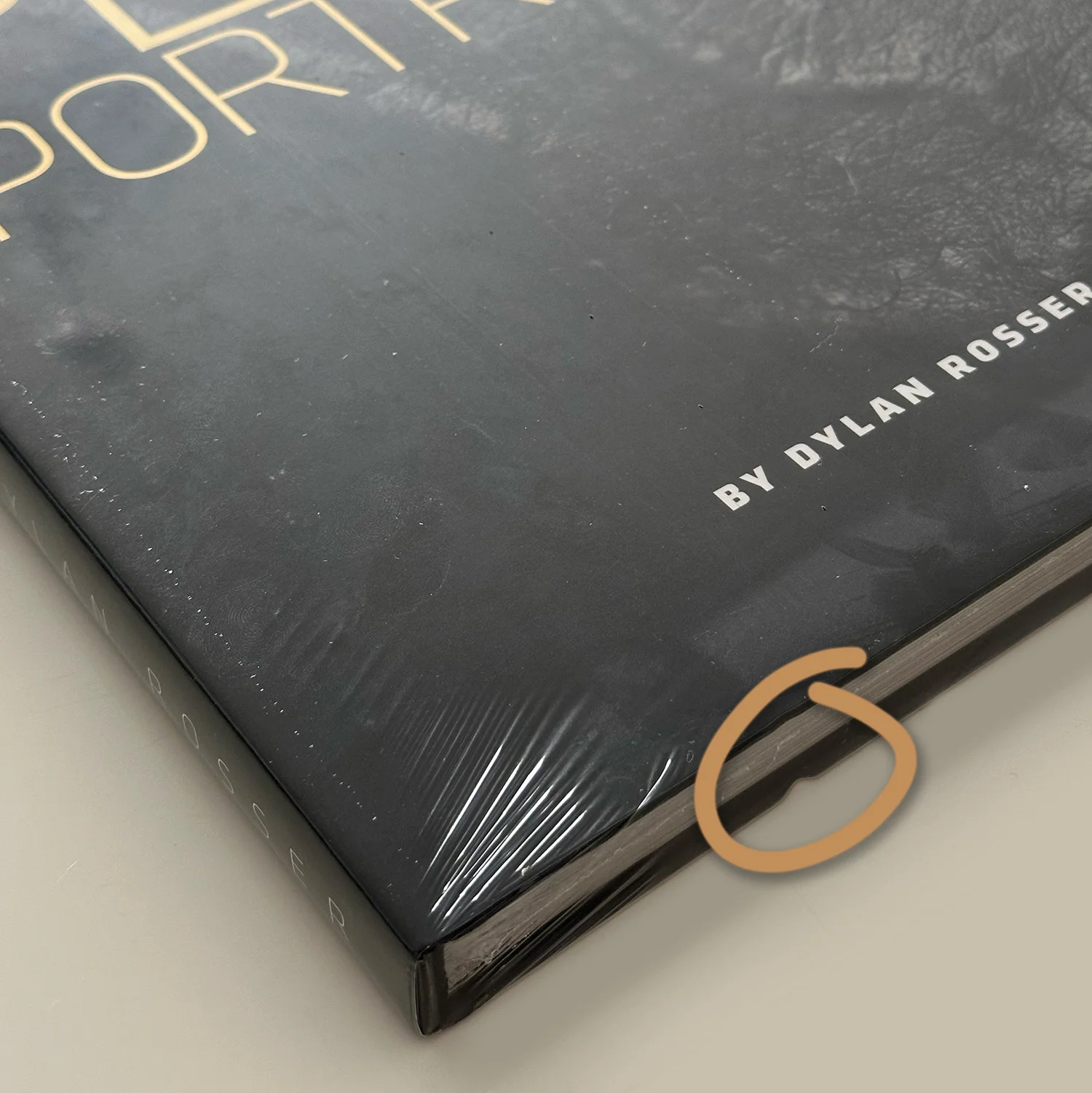 Penis Portraits (Damaged Copy) - Image 2