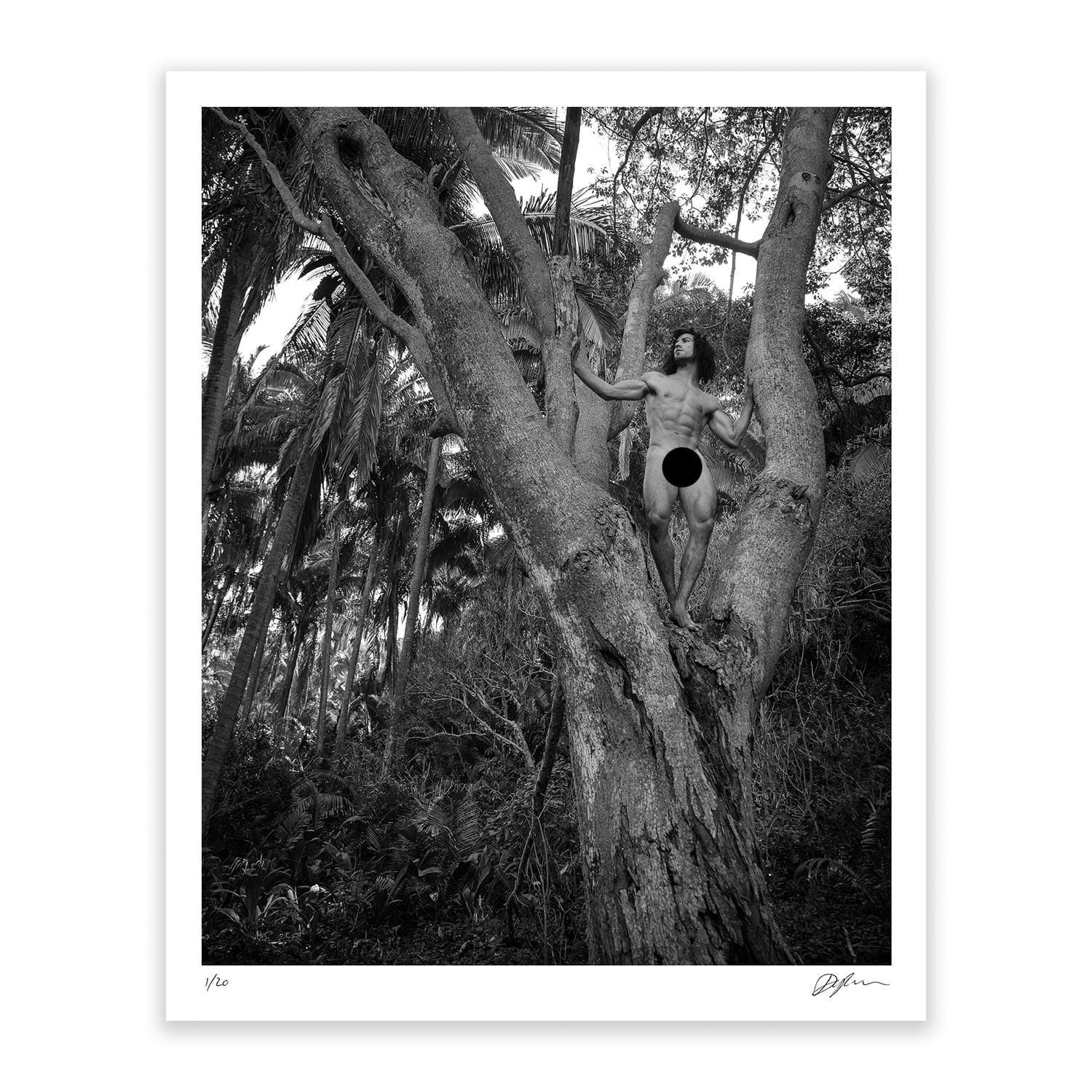 Aaron V 262 - Image 2