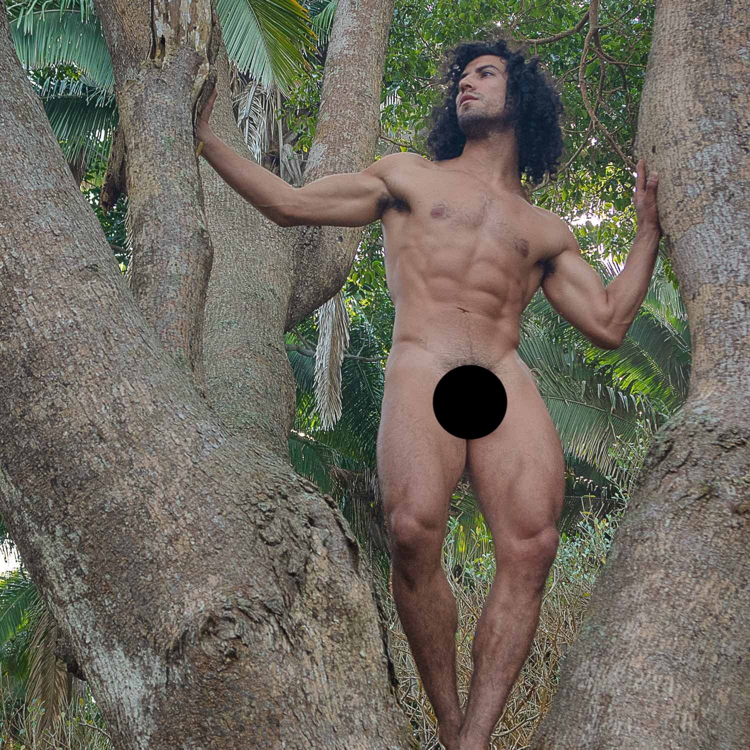 Aaron V 262 - Image 3