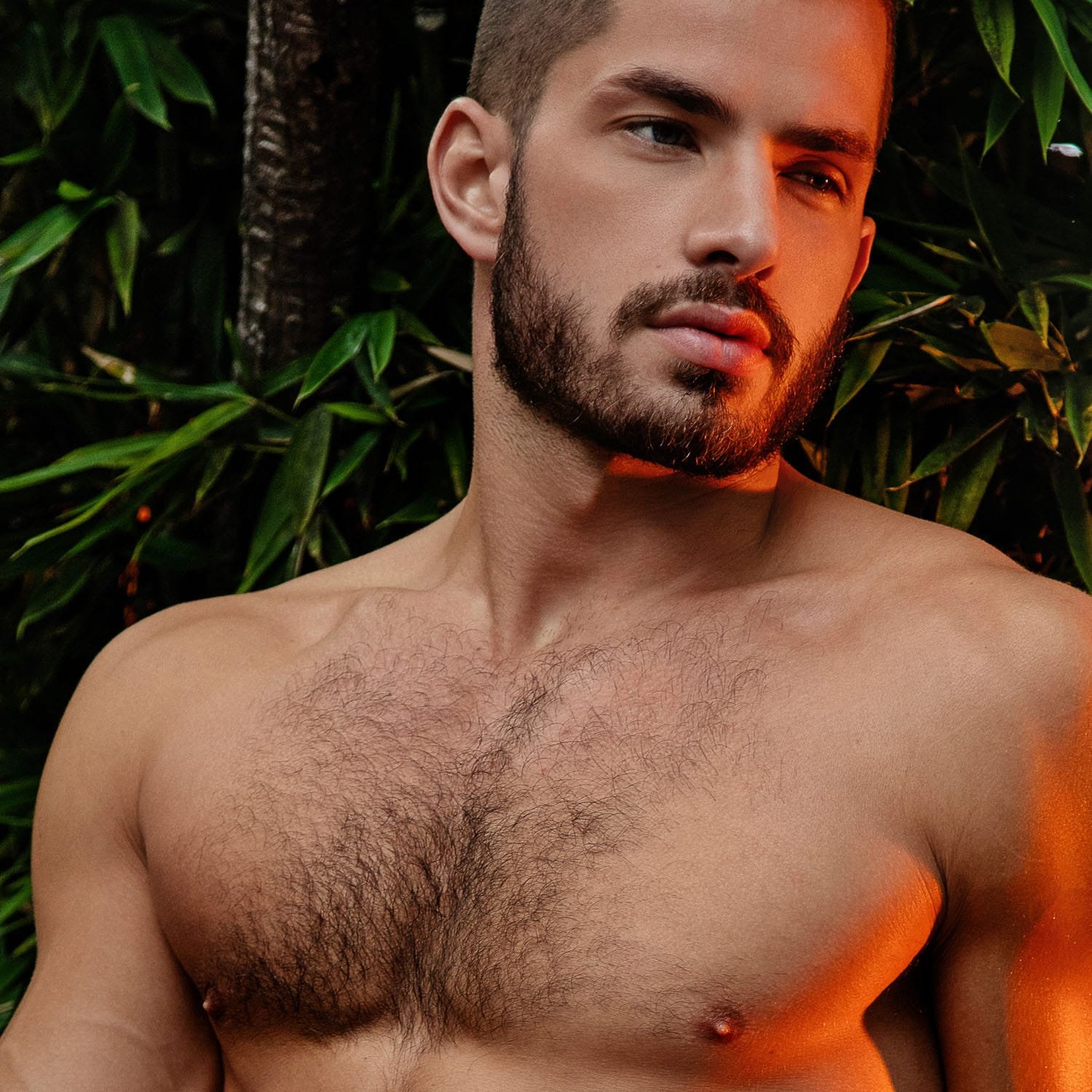 Anthony 107 - Image 2